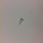 5304509625 Frigidaire Microwave Wave Stirrer Fan Blade Cover Pin 4583720