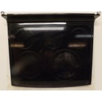 WB62T10748 GE Oven Range Cooktop Assembly 1556467